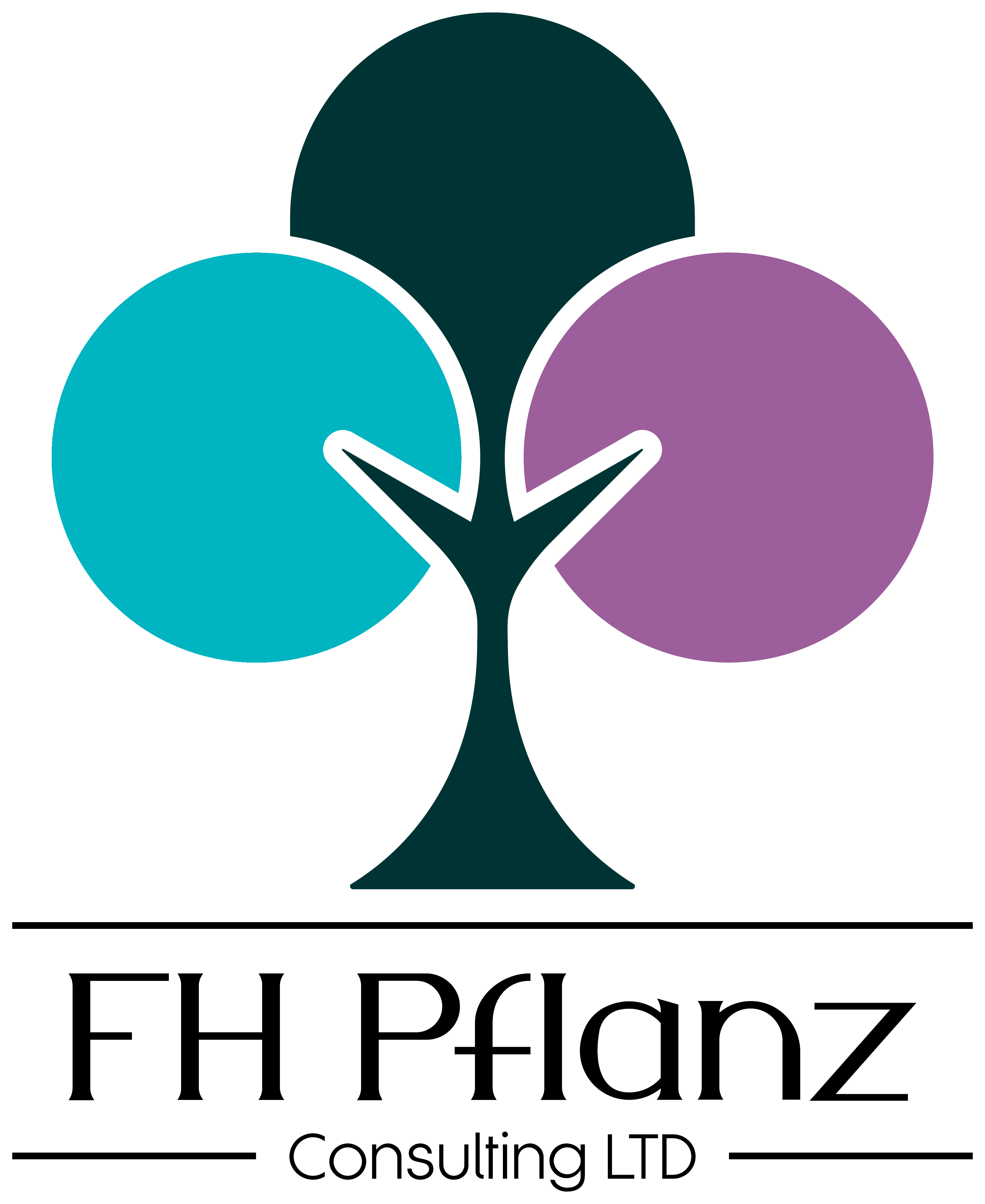 FH Pflanz Consulting